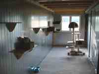 Intérieur du box commun chats